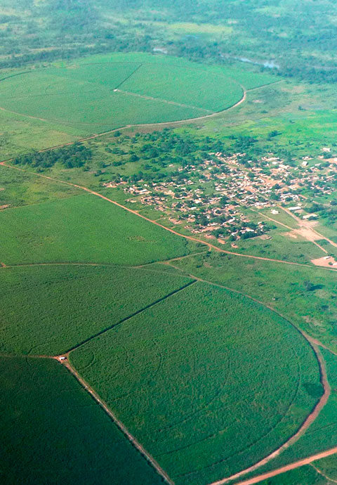 Agriculture