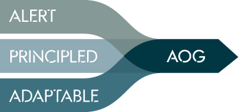 AOG values: alert, principled, adaptative